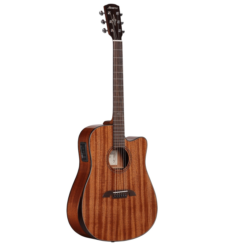 Artist Elite Series Acoustic Electric