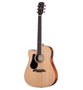 Artist Series Acoustic Electric