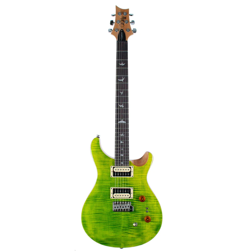 [PRS-C844EV] Custom 24 - Eriza Verde